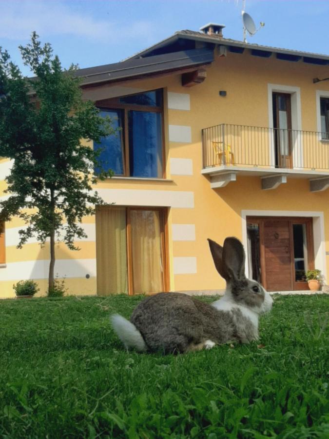 Agriturismo Fior Di Campo Dronero Buitenkant foto